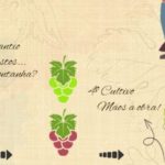Da uva ao vinho: veja como é o trabalho de um enólogo