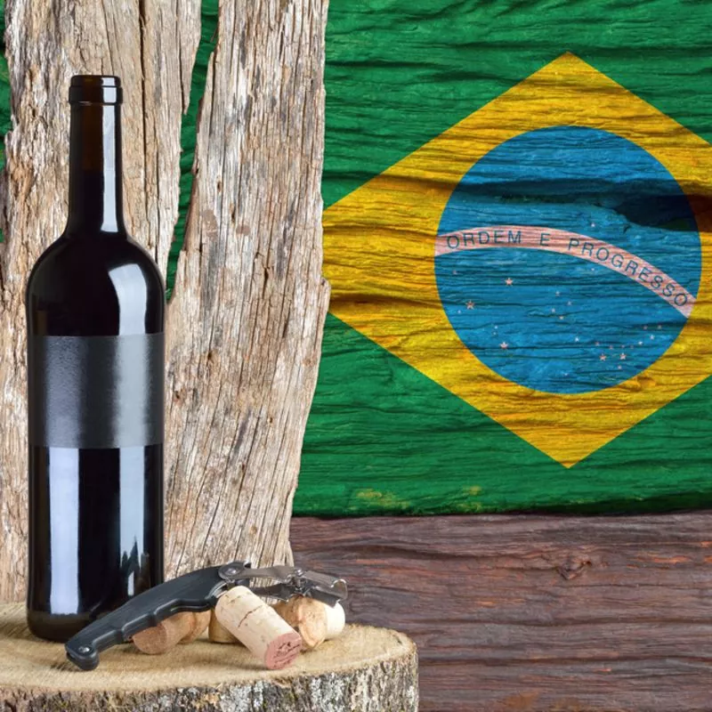 vinhos brasieliros