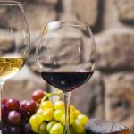 Estilos de vinho: muito além do sabor da uva...