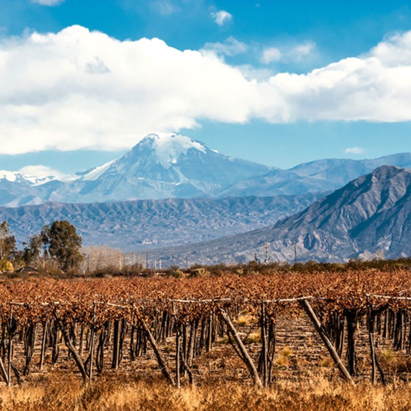 Guia Argentina 1: Conheça os vinhos argentinos