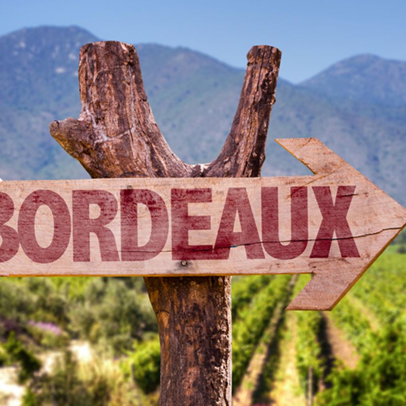 Guia Definitivo de Bordeaux - O Resumão