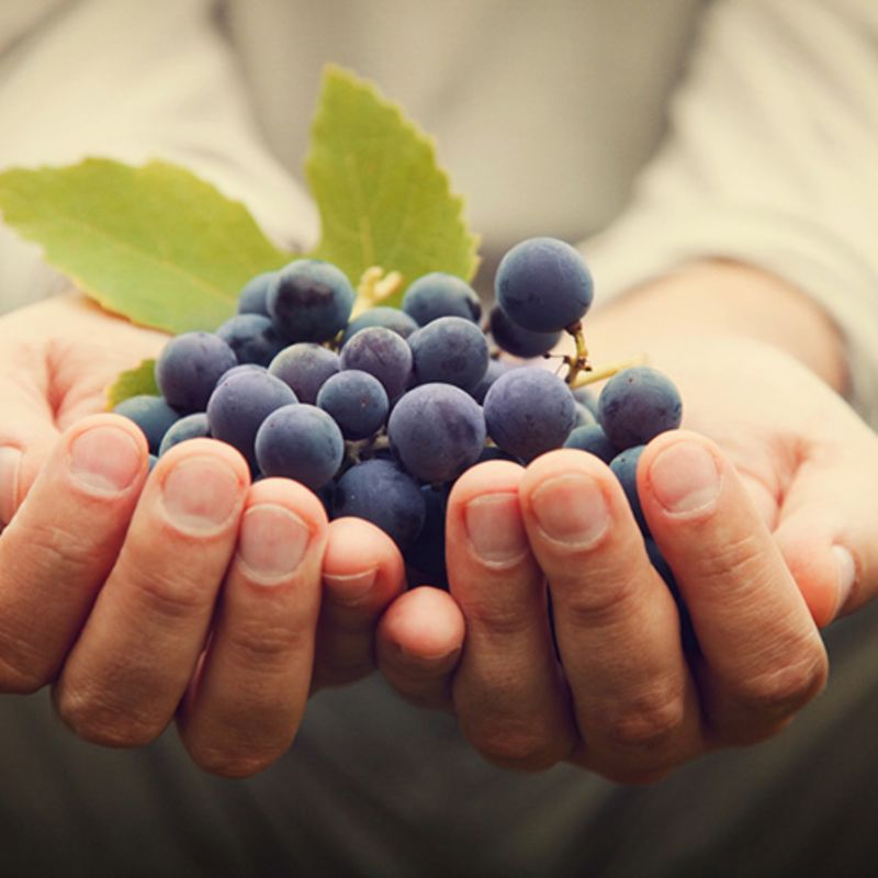 O Vinho Mais “Saudável” Que Você Pode Beber