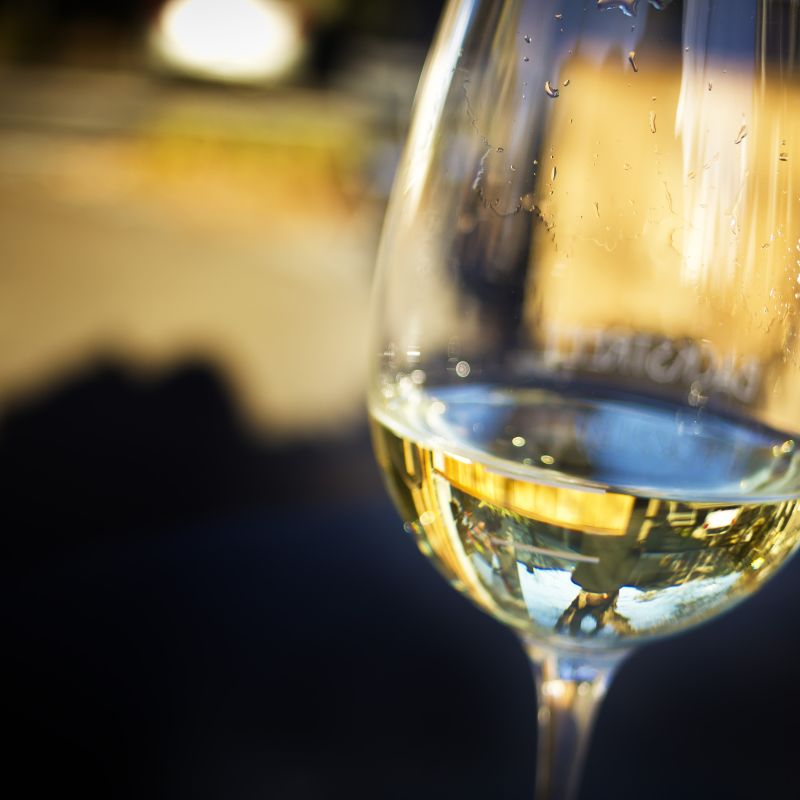 Vinho branco para o verão – quais escolher?