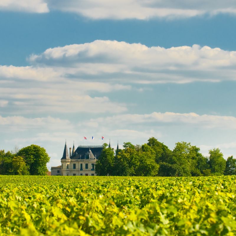 Guia Definitivo de Bordeaux – parte II: sub-regiões