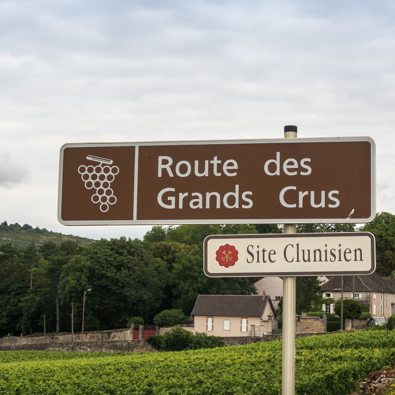 Guia Definitivo de Bordeaux - Parte III: Como ler um rótulo