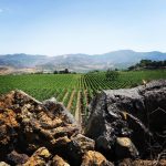 Sicilia: vino e passione
