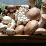 Cogumelos: guia dos 10 fungos mais usados na gastronomia