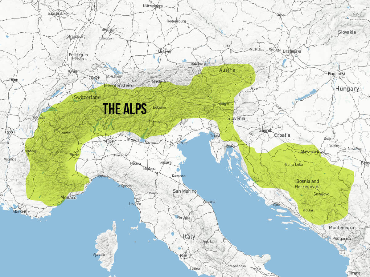 gewurztraminer mapa alpes origem uva regiao