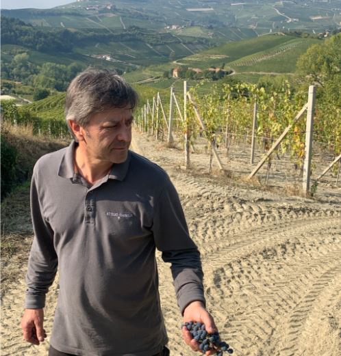 Gianmarco Ghisolfi com Nebbiolo na mao no seu vinhedo Bricco Visette uma semana apos a colheita de 2021